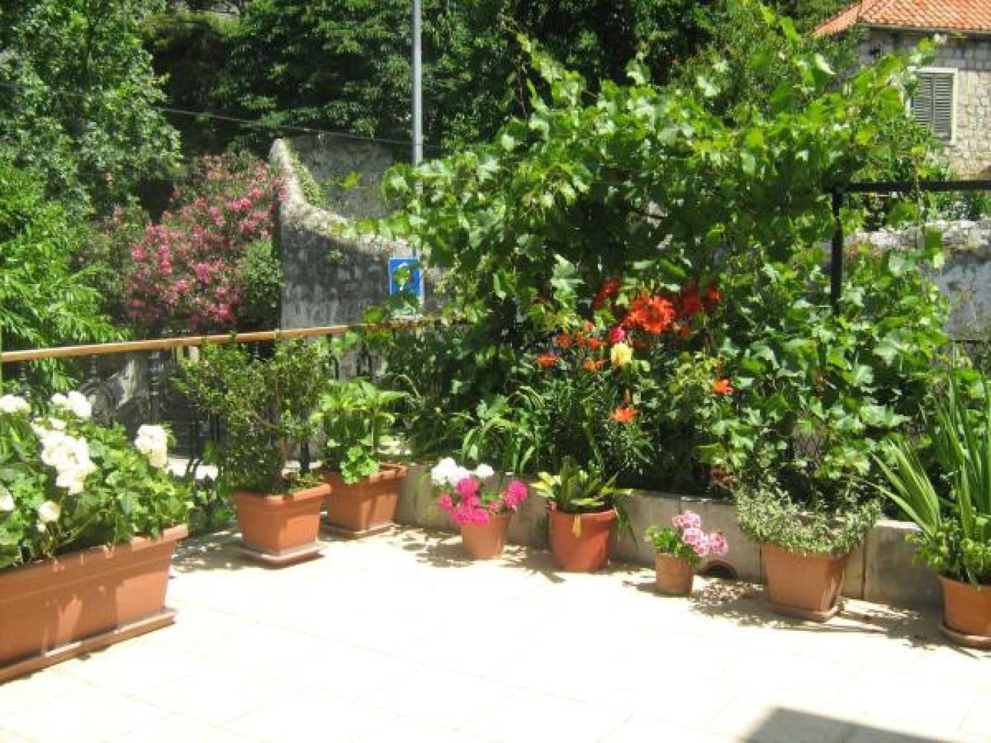 House Boninovo (Adults Only) Hotell Dubrovnik Rom bilde